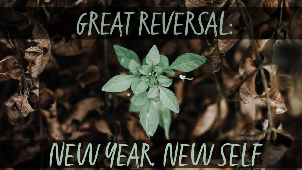 Great Reversal: New Year, New Self